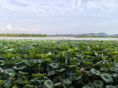 -杭州西湖风景名胜区-北街寻梦