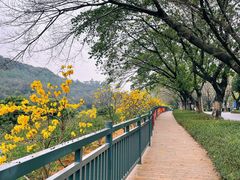 -南国桃园旅游度假区