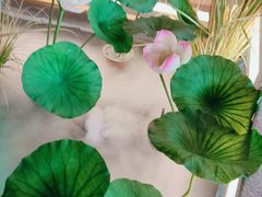 -荷塘秋月·本帮江浙菜(国权路店)