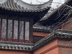 -上海白云观