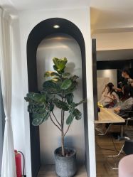 点击看大图 -Garden花園造型
