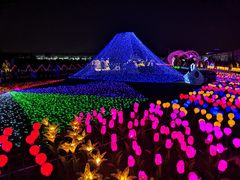 -菊园百果园