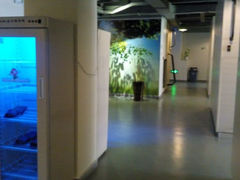 android_upload_pic-栖游青年旅舍(华强北地铁站店)