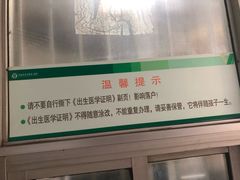 -青岛市市立医院(本部)