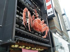 -蟹料理 北海道かに将軍(札幌本店)