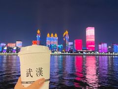 -武汉两江游览·夜游长江(汉口粤汉码头)