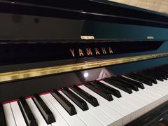 -圣典成人钢琴俱乐部(国贸旗舰校区)