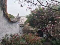 -乌山风景区