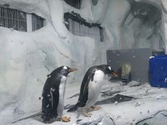 -南昌海洋公园