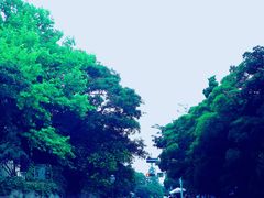-八大关景区