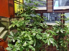 -安德烈俄式西餐厅(中央大街店)