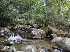 -大围山国家森林公园