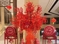 -北京首都机场希尔顿酒店