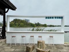 -杭州湾海上花田景区