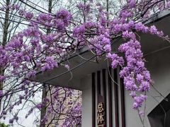 -郑和公园