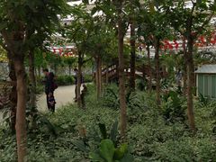 -南宫五洲植物乐园