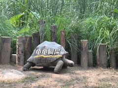 -北京野生动物园