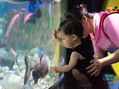 -成都浩海立方海洋公园