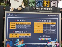 -海合安武汉极地海洋公园