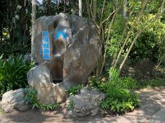 -中国科学院西双版纳热带植物园