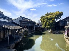 -乌镇西栅景区