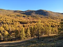 -莫尔道嘎国家森林公园