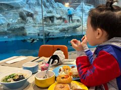 -帝企鹅自助餐厅•儿童岛•真企鹅(长隆企鹅酒店)