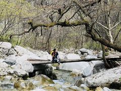 -秦岭风景区