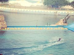 iphone_upload_pic-秦皇岛乐岛海洋王国