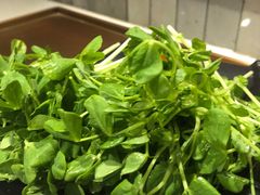 -牛村来人潮汕牛肉火锅(西单店)