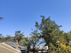 -大连蚂蚁岛度假区