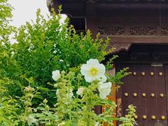 -花洲书院