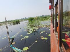 -白洋淀景区