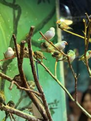 -Zoolung Zoolung动物主题公园(海信广场店)