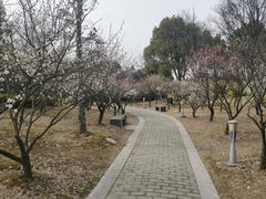 -石湖景区