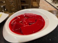 鸭血-蜀九香火锅(彩虹店)