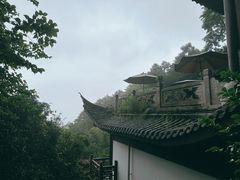 -韬光茶庵