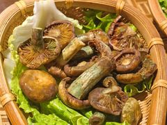 -滇野云南野生菌餐厅(陕西南路店)