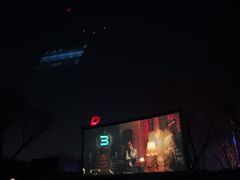 -枫花园汽车电影院(朝阳公园店)