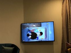 -海豚湾高端月子会所(黄浦店)