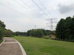 -九里河湿地公园