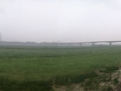 -白氏鲶鱼汤(白亮1号店)