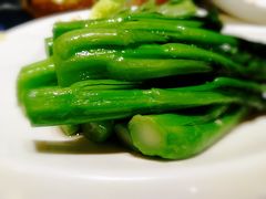 炒时蔬-金龙寨(龙城路店)