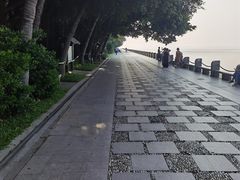 -深圳湾公园(南山区)