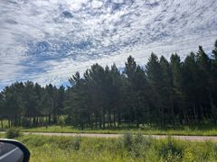 -塞罕坝国家级自然保护区