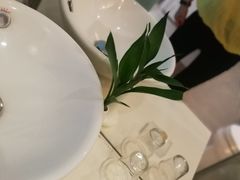 -深圳东部华侨城瀑布酒店