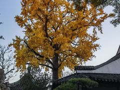 -新聚丰菜馆(太监弄店)