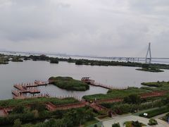 -芒洲湿地公园