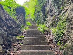 -树山生态村