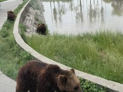 -上海野生动物园